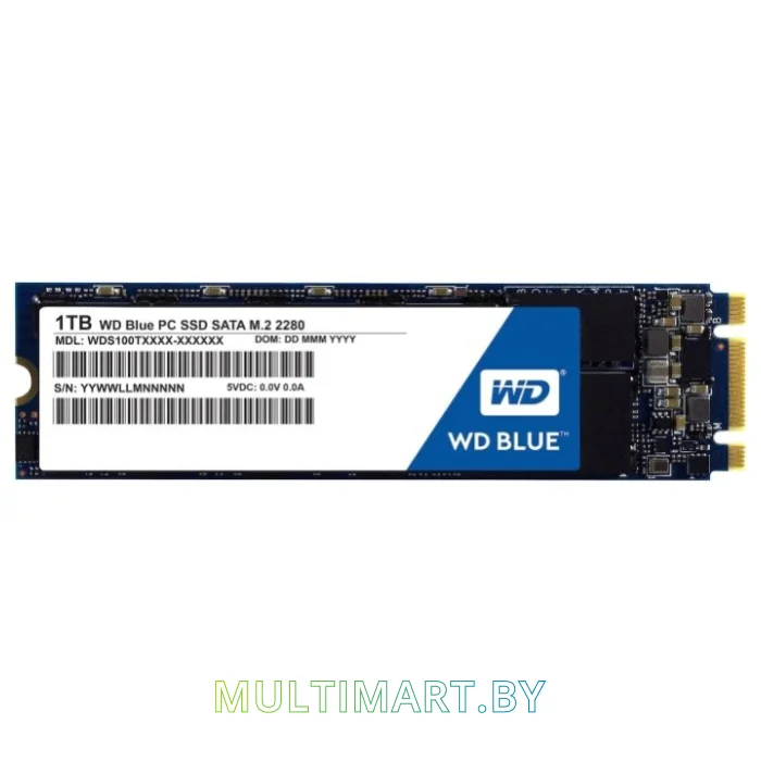 SSD диск WD Blue PC 1TB (WDS100T1B0B)